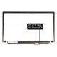 Laptop Bildschirm IBM Lenovo ThinkPad X240 20AL SERIES LCD Display 12,5“ 30Pin eDP HD LED - Glänzend