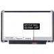 Laptop Bildschirm N116BGE-EB2 REV.C1 LCD Display 11,6“ 30Pin eDP - Glänzend