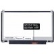 Laptop Bildschirm Asus E200HA-FD0079TS LCD Display 11,6“ LED 30pin eDP - Matt