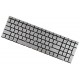 HP Pavilion 15-cs0014nc Laptop Tastatur, Silber, ohne Rahmen, Hintergrundbeleuchtete , CZ/SK