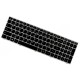 Lenovo B50-30 Touch Laptop Tastatur, CZ / SK Silber, Hintergrundbeleuchtete 
