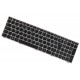 Lenovo B50-30 Touch Series Erazer Laptop Tastatur, CZ / SK Silberner Rahmen, hintergrundbeleuchtete